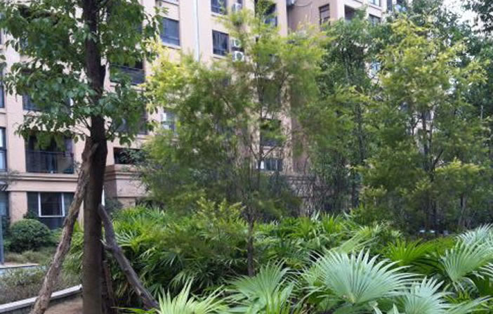 1277星际电子(中国游)官方游戏网址